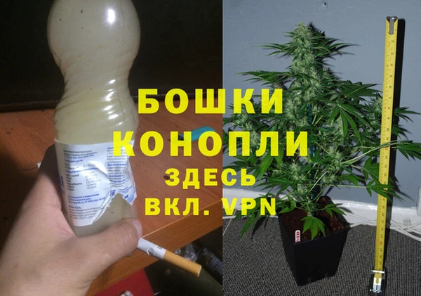 бошки Балахна